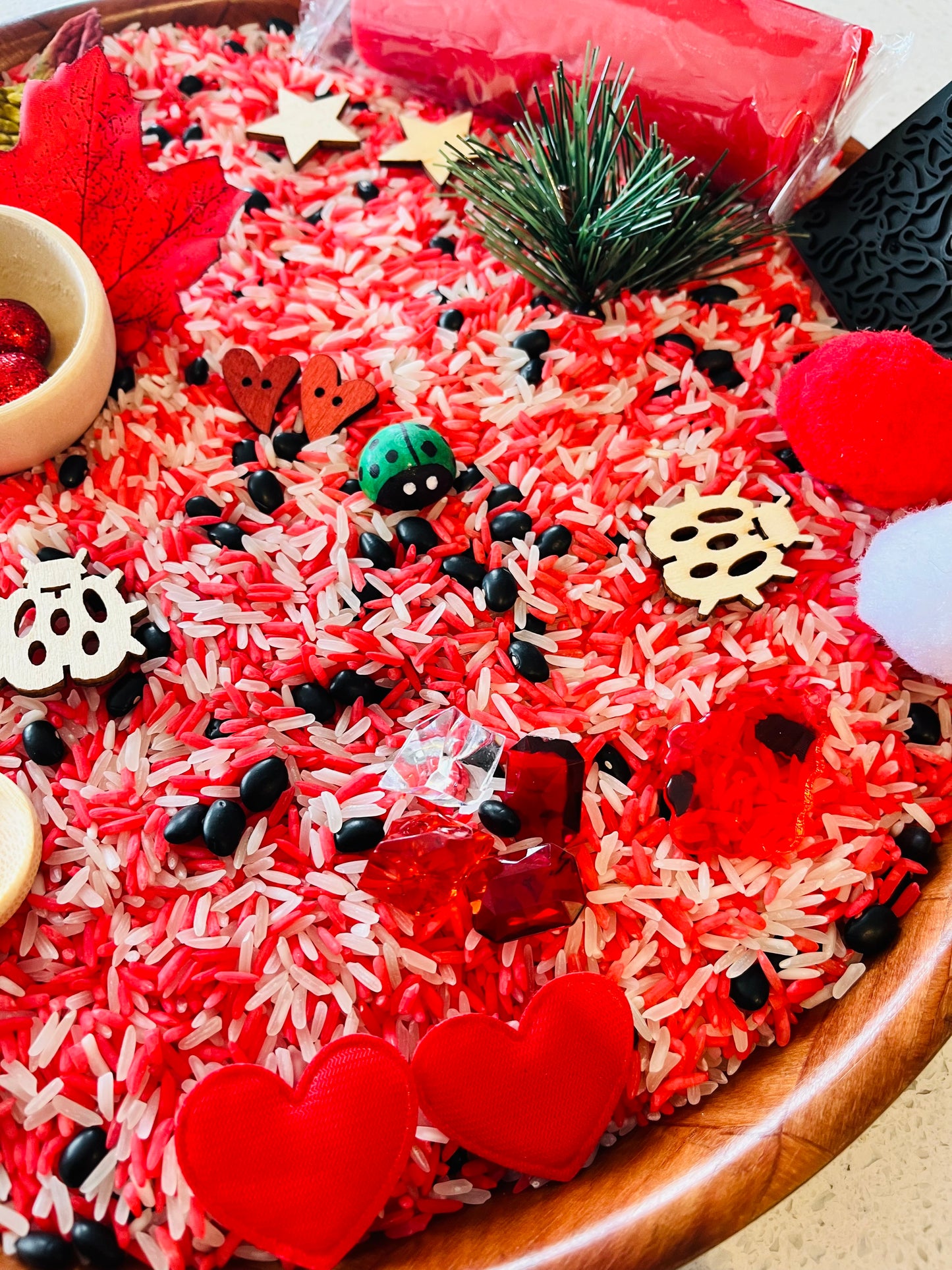 Ladybug Sensory Play Kit