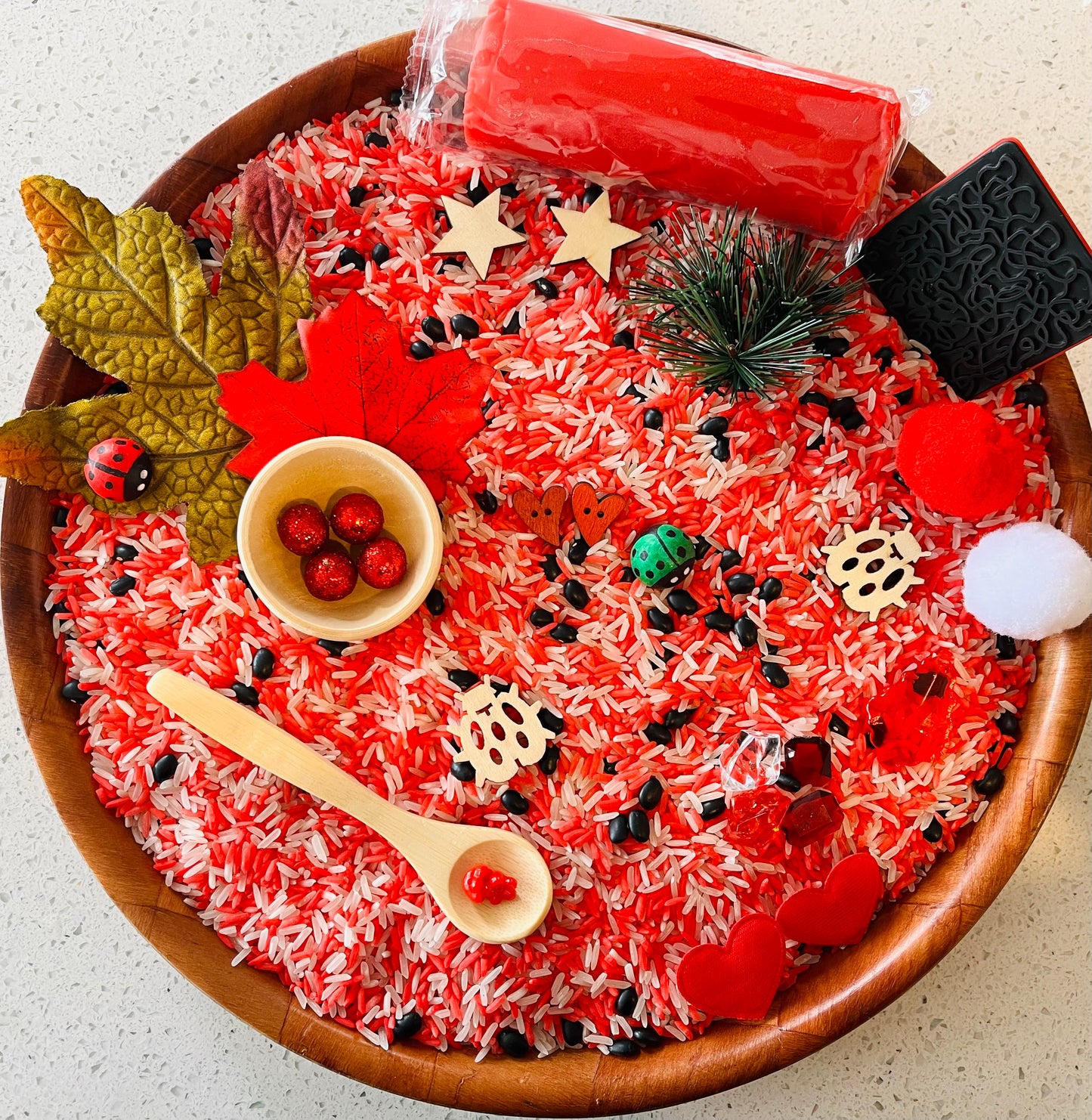 Ladybug Sensory Play Kit